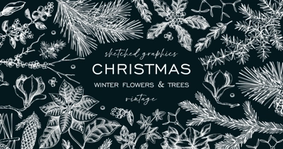 Christmas background. Winter flowers frame design on chalkboard. Conifer tree, evergreen plant, berry sketches. Hand drawn vector illustration. NOT AI generated